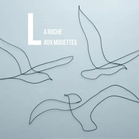 Aparthotel La Roche Aux Mouettes 4*