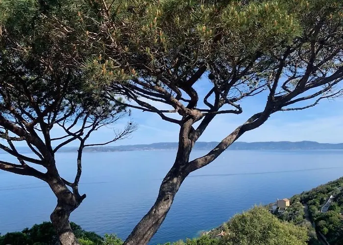 La Roche Aux Mouettes 4* Île du Levant
