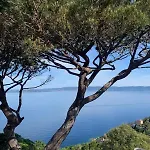 La Roche Aux Mouettes 4* Остров Леван