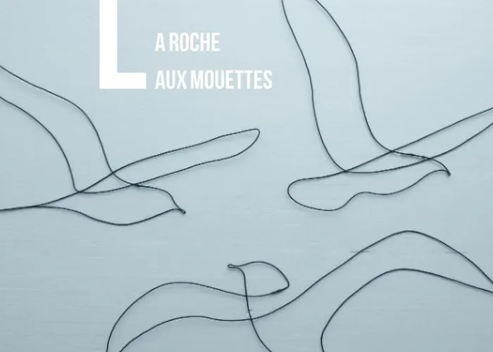 Apartahotel La Roche Aux Mouettes 4*